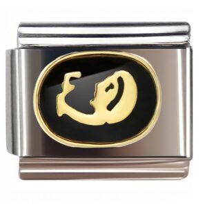 Golden Pisces Zodiac Emblem Italian Charms Bracelet