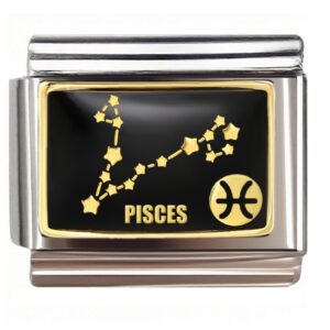 Pisces Constellation Symbol Italian Charms Bracelet