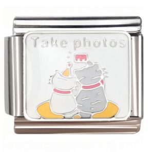 Two Cats Taking Photos Italian Charms Bracelet