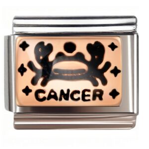 Cancer Crab Rose Gold Italian Charms Bracelet