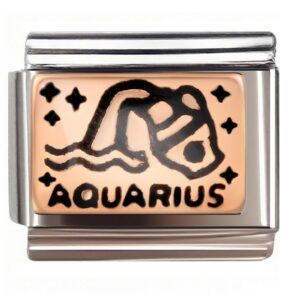 Aquarius Rose Gold Zodiac Italian Charms Bracelet