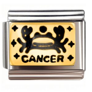 Rose Gold Cancer Crab Italian Charms Bracelet
