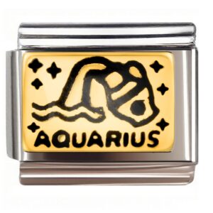 Rose Gold Aquarius Zodiac Italian Charms Bracelet