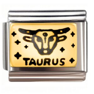 Taurus Bull Head with Stars Italian Charms Bracelet