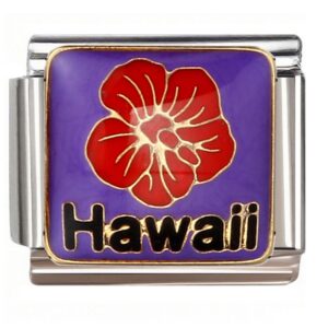 Hawaii Red Hibiscus Design Italian Charms Bracelet
