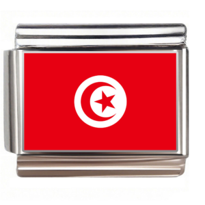 Flag of Tunisia,fit 9mm Italian Charm Bracelet