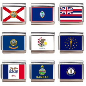 USA State Flag
