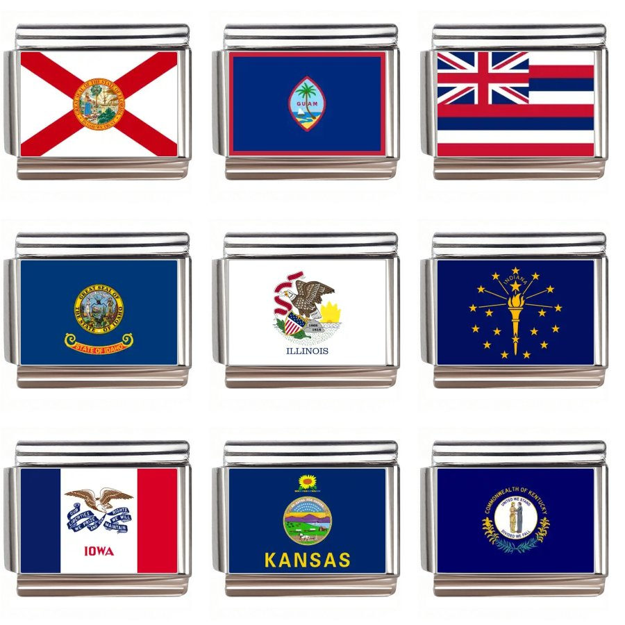 USA State Flag