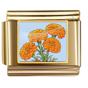 Orange Round Flower Cluster