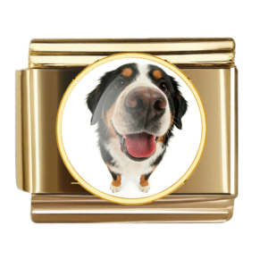 Tricolor Mountain Dog Portrait