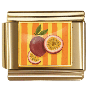 Passion Fruit Illustration Link