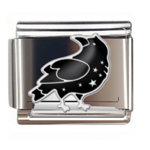 Starry Black Raven