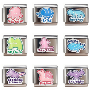 Animal Pronoun