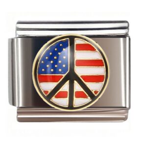 Peace Symbol Flag Circle