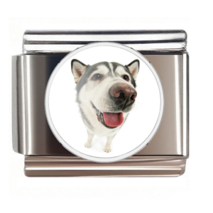 Husky Nose Portrait