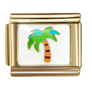 Tropical Palm Tree