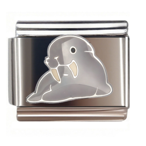 Gray Walrus