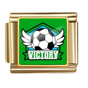 Winged Soccer Victory