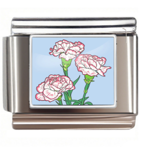 Pink-edged Carnation Bouquet Link