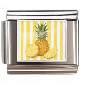 Pineapple Illustration Link