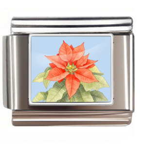 Red Poinsettia Flower Link