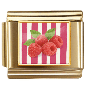 Raspberry Illustration Link
