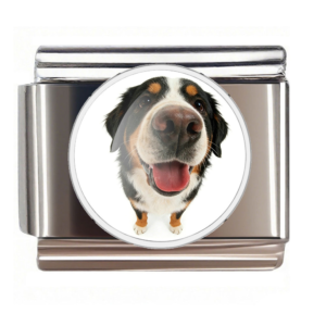 Tricolor Mountain Dog Portrait