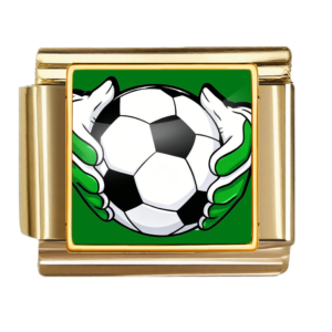 Goalkeeper Hands Soccer Ball