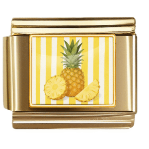 Pineapple Illustration Link
