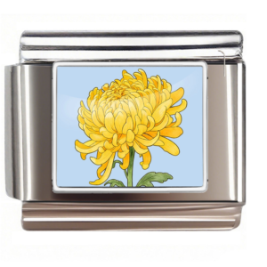 Yellow Chrysanthemum Flower Link