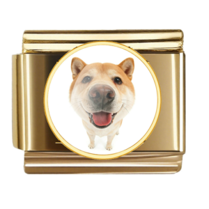 Shiba Inu Nose Portrait