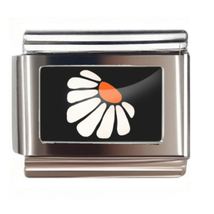 Black Daisy Burst