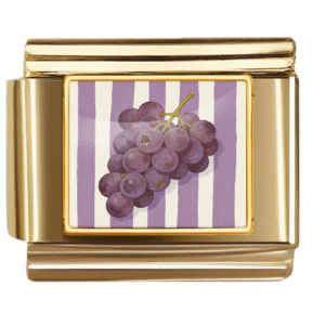 Purple Grapes Illustration Link