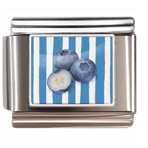 Blueberry Illustration Link