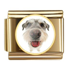 Gray Terrier Nose Portrait