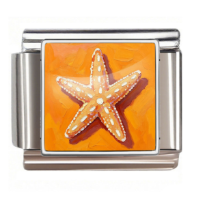 Orange Starfish Illustration