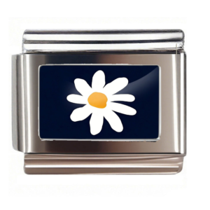 White Daisy on Navy