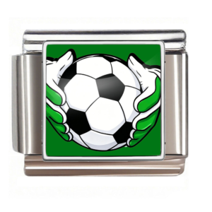Goalkeeper Hands Soccer Ball