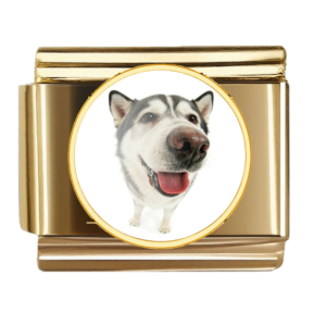 Husky Nose Portrait