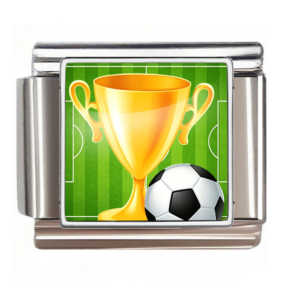 Soccer Trophy and Field