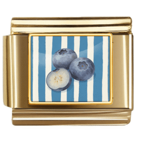 Blueberry Illustration Link