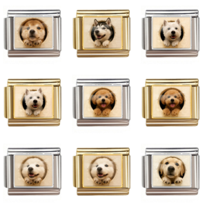 Cute Puppy Photo