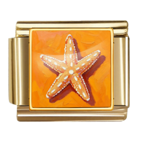 Orange Starfish Illustration
