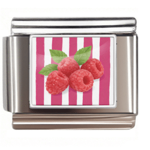 Raspberry Illustration Link