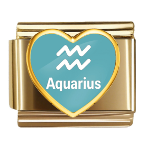 Aquarius Heart Link