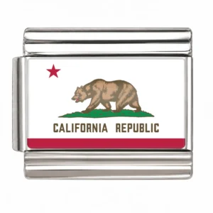California State Flag for - Silver