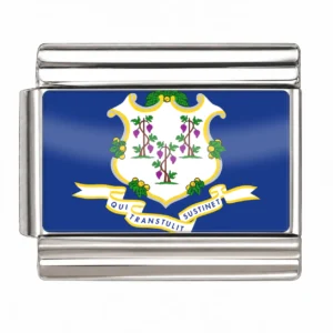 Connecticut State Flag for - Silver