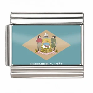 Delaware State Flag for - Silver