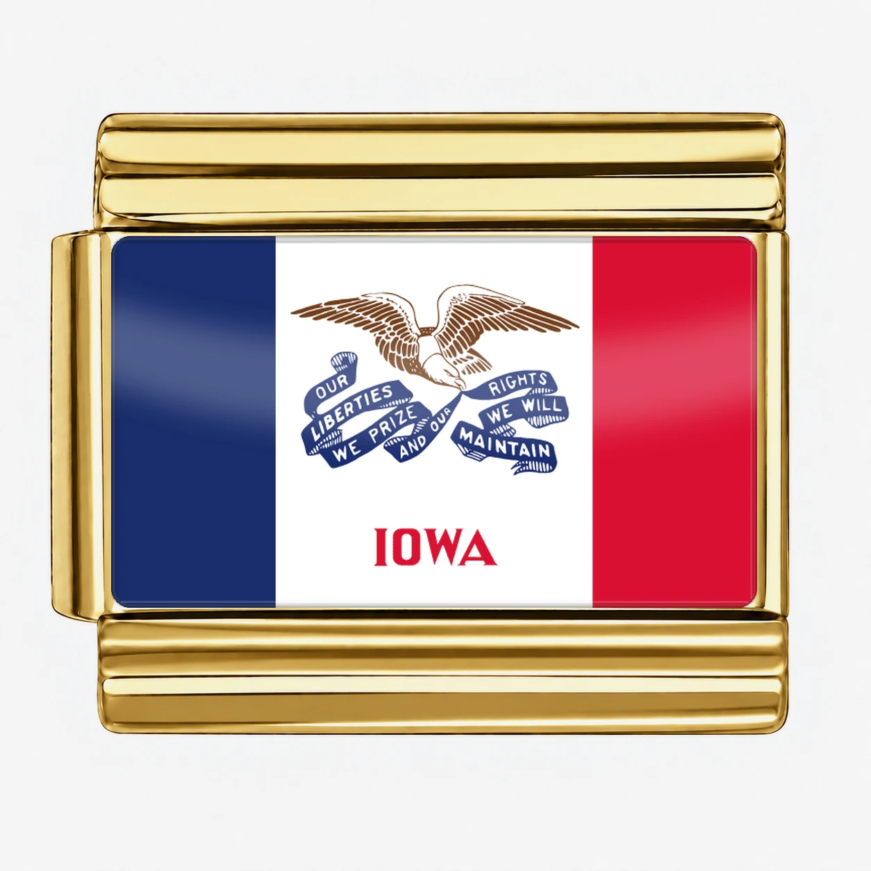 Iowa State Flag for - Gold