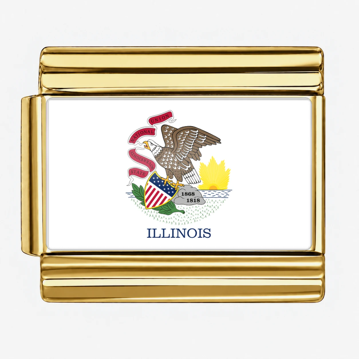 Illinois State Flag for - Gold